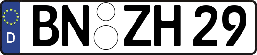 BN-ZH29