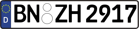 BN-ZH2917