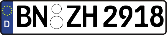 BN-ZH2918