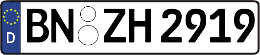 BN-ZH2919