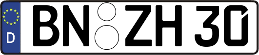 BN-ZH30