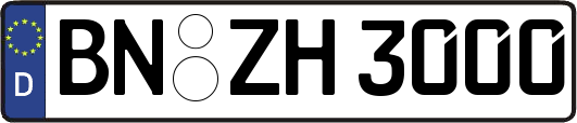 BN-ZH3000