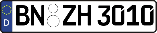 BN-ZH3010