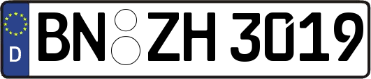 BN-ZH3019