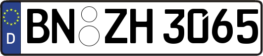 BN-ZH3065