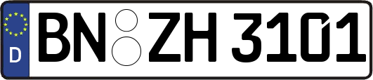 BN-ZH3101