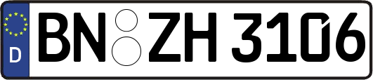 BN-ZH3106