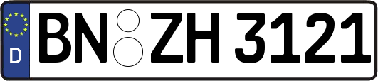 BN-ZH3121