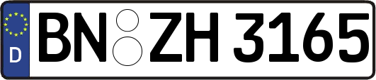 BN-ZH3165