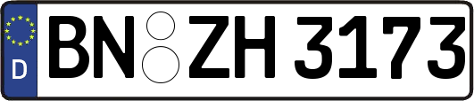 BN-ZH3173