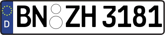 BN-ZH3181