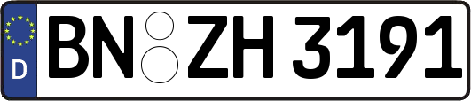 BN-ZH3191