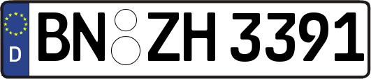 BN-ZH3391