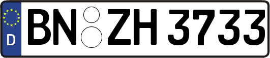 BN-ZH3733