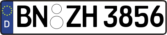 BN-ZH3856