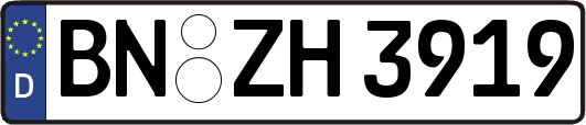 BN-ZH3919