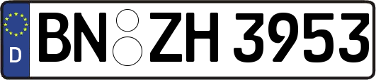 BN-ZH3953
