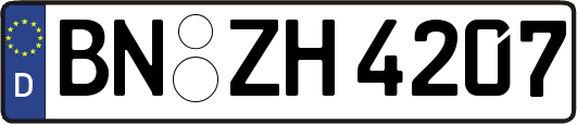 BN-ZH4207