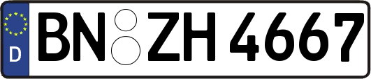 BN-ZH4667
