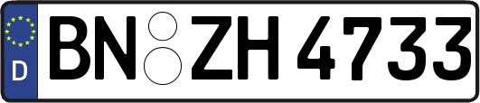 BN-ZH4733