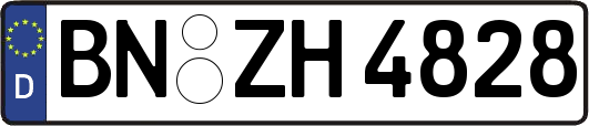 BN-ZH4828