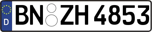 BN-ZH4853