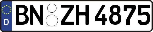 BN-ZH4875