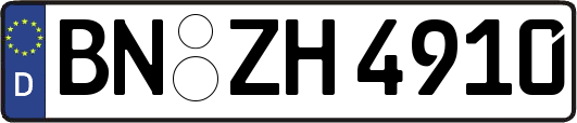 BN-ZH4910