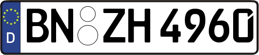 BN-ZH4960