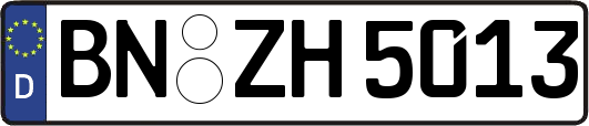 BN-ZH5013