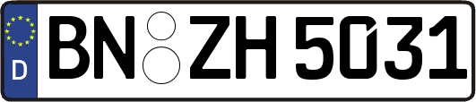 BN-ZH5031