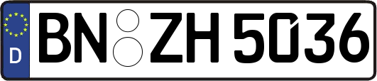 BN-ZH5036