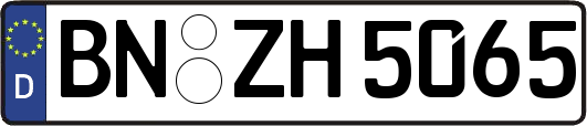 BN-ZH5065