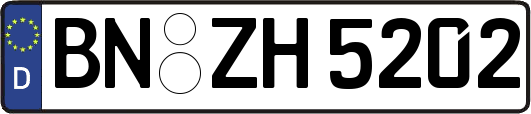 BN-ZH5202