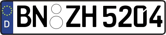 BN-ZH5204