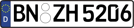 BN-ZH5206