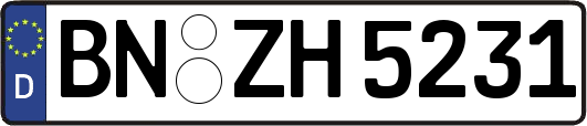BN-ZH5231