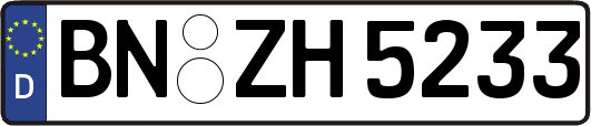 BN-ZH5233