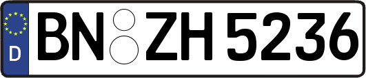 BN-ZH5236