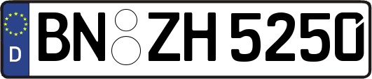 BN-ZH5250