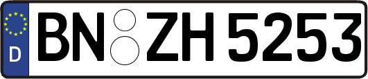 BN-ZH5253