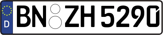 BN-ZH5290