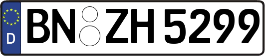 BN-ZH5299