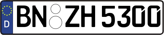 BN-ZH5300