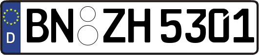 BN-ZH5301