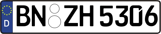 BN-ZH5306