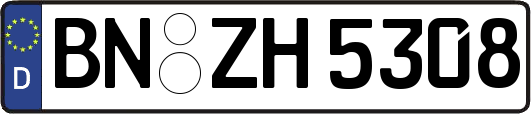 BN-ZH5308