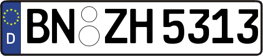 BN-ZH5313