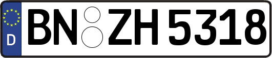 BN-ZH5318