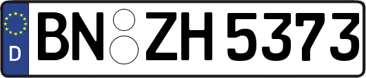 BN-ZH5373